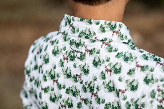 The Pines